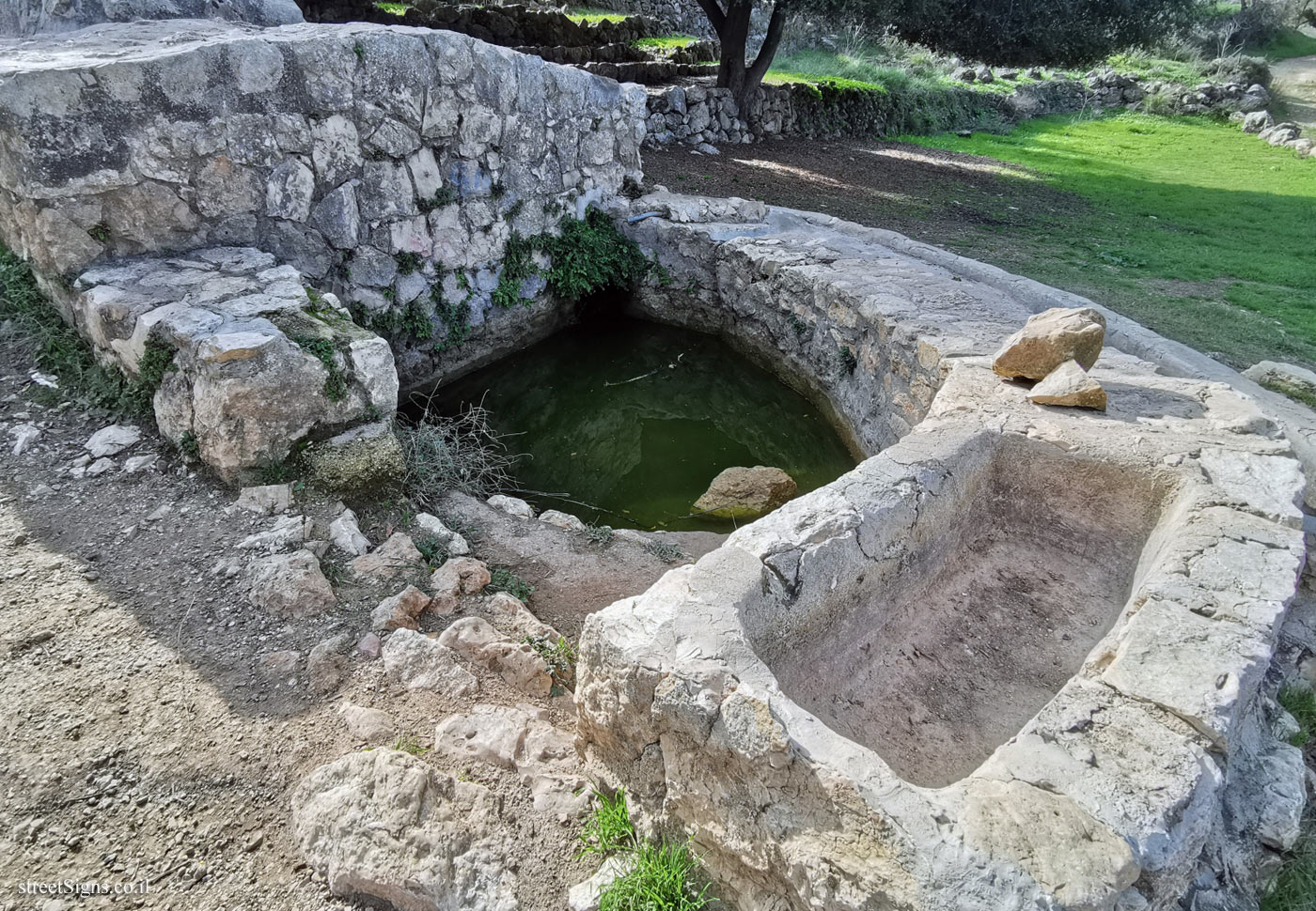 The trough and the pool to which the water from Ein Hawd spring