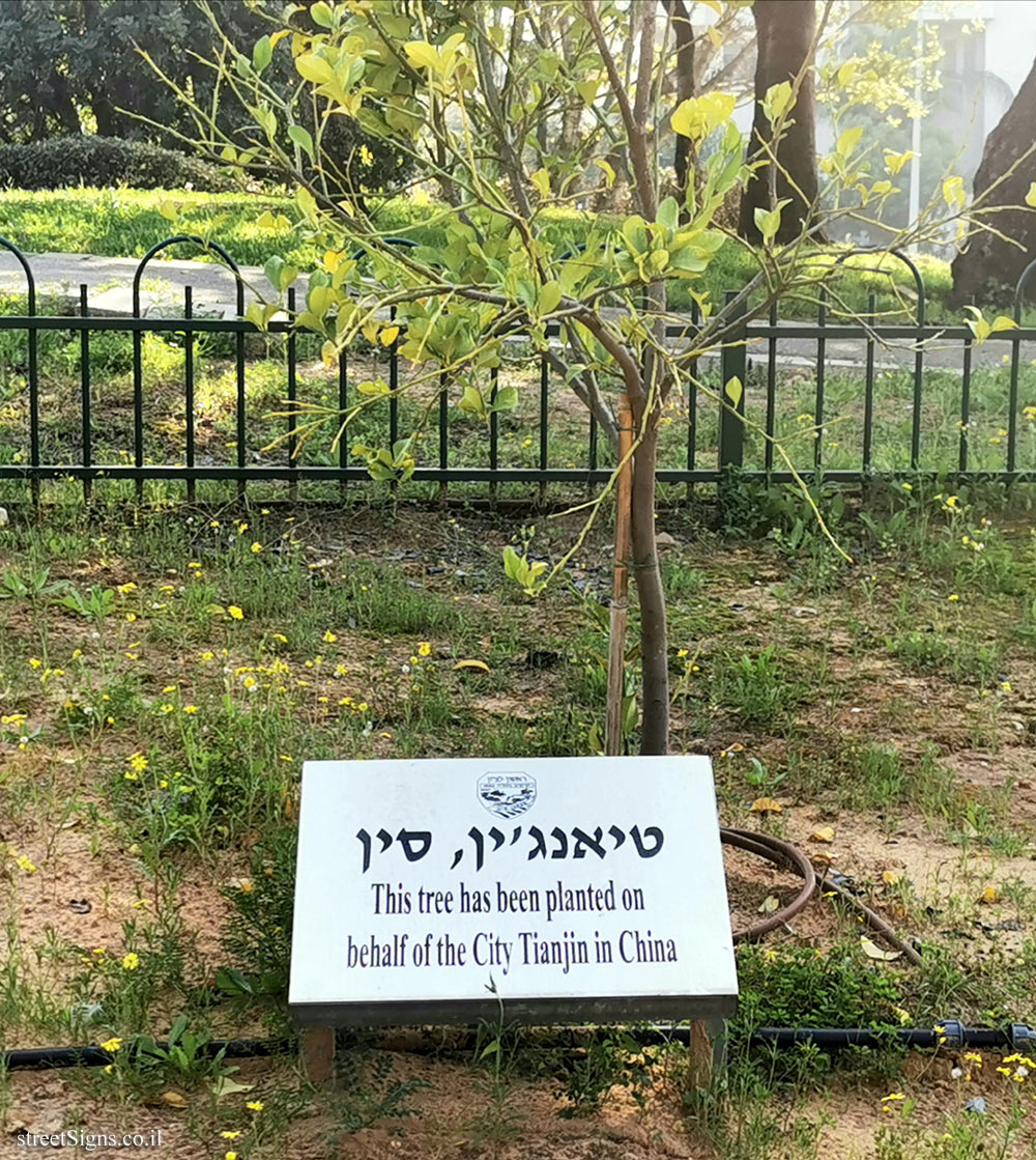 Rishon Lezion - trees planted for Sister cities - Tianjin, China