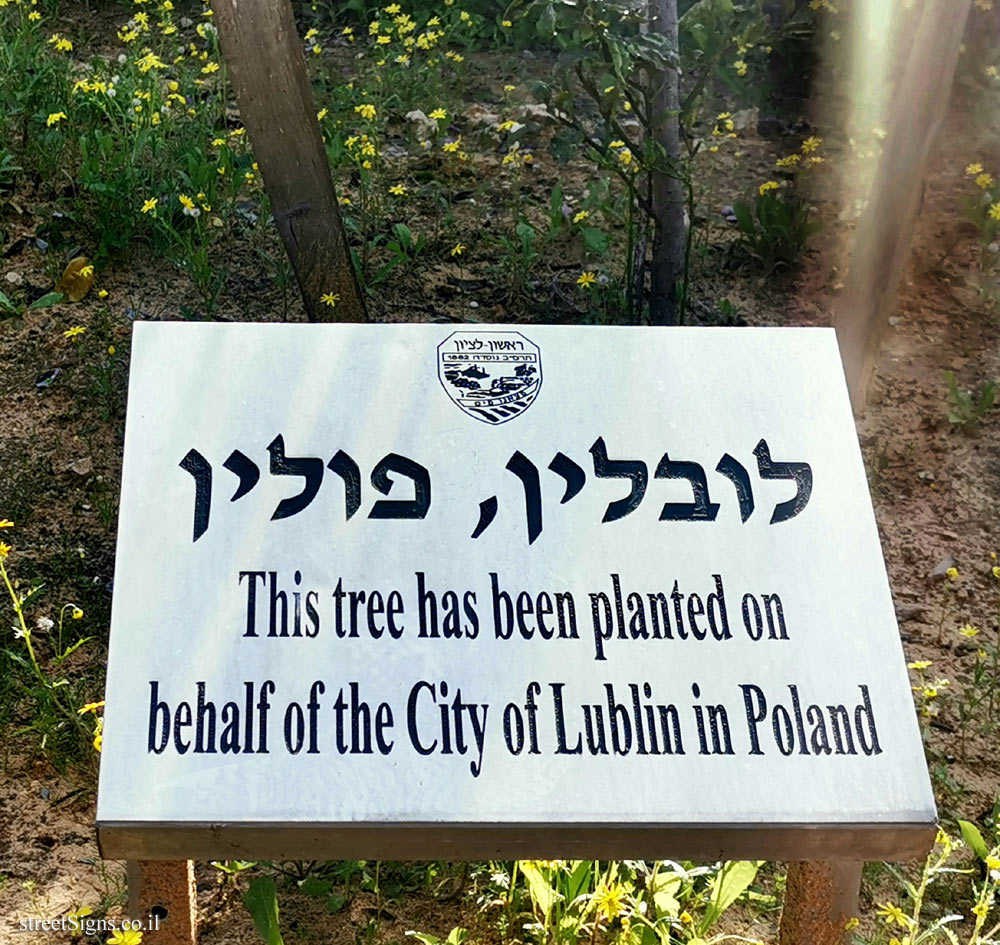 Rishon Lezion - trees planted for Sister cities - Lublin, Poland