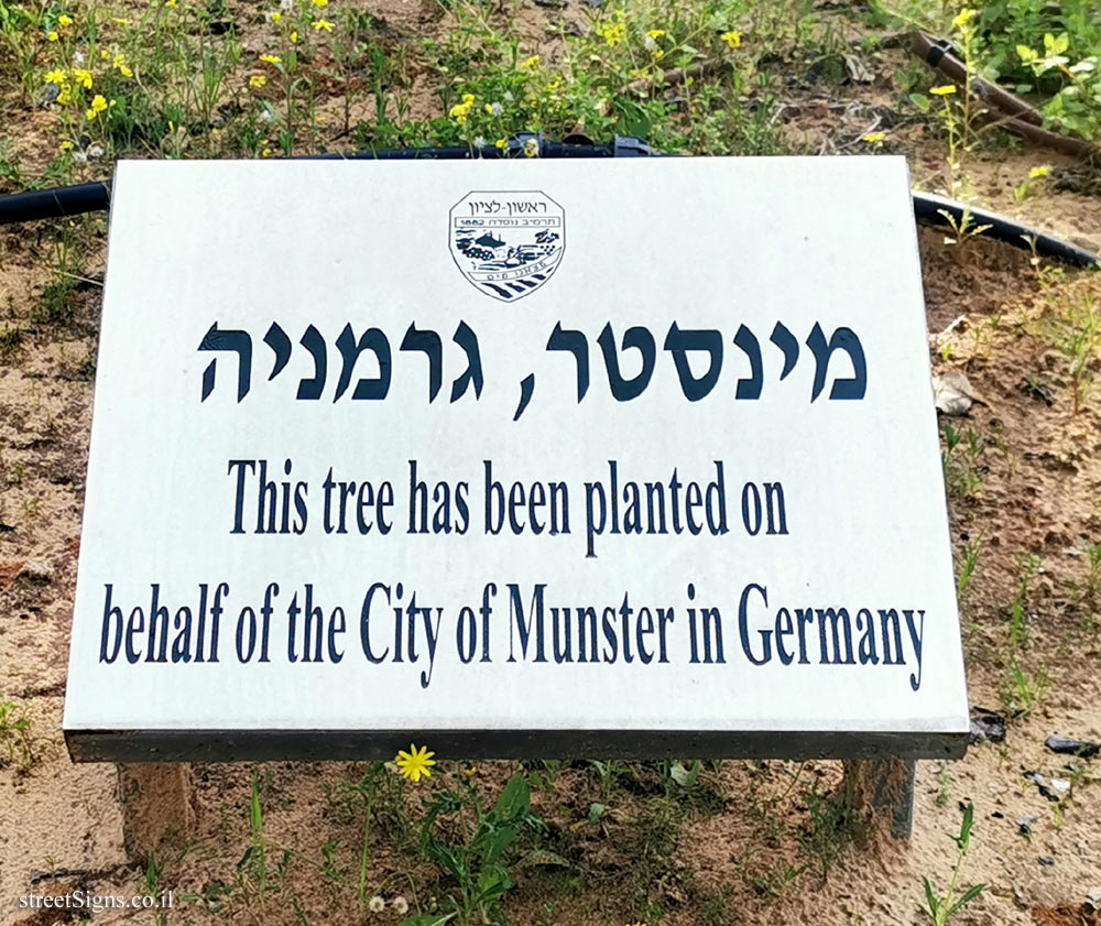 Rishon Lezion - trees planted for Sister cities - Munster, Germany