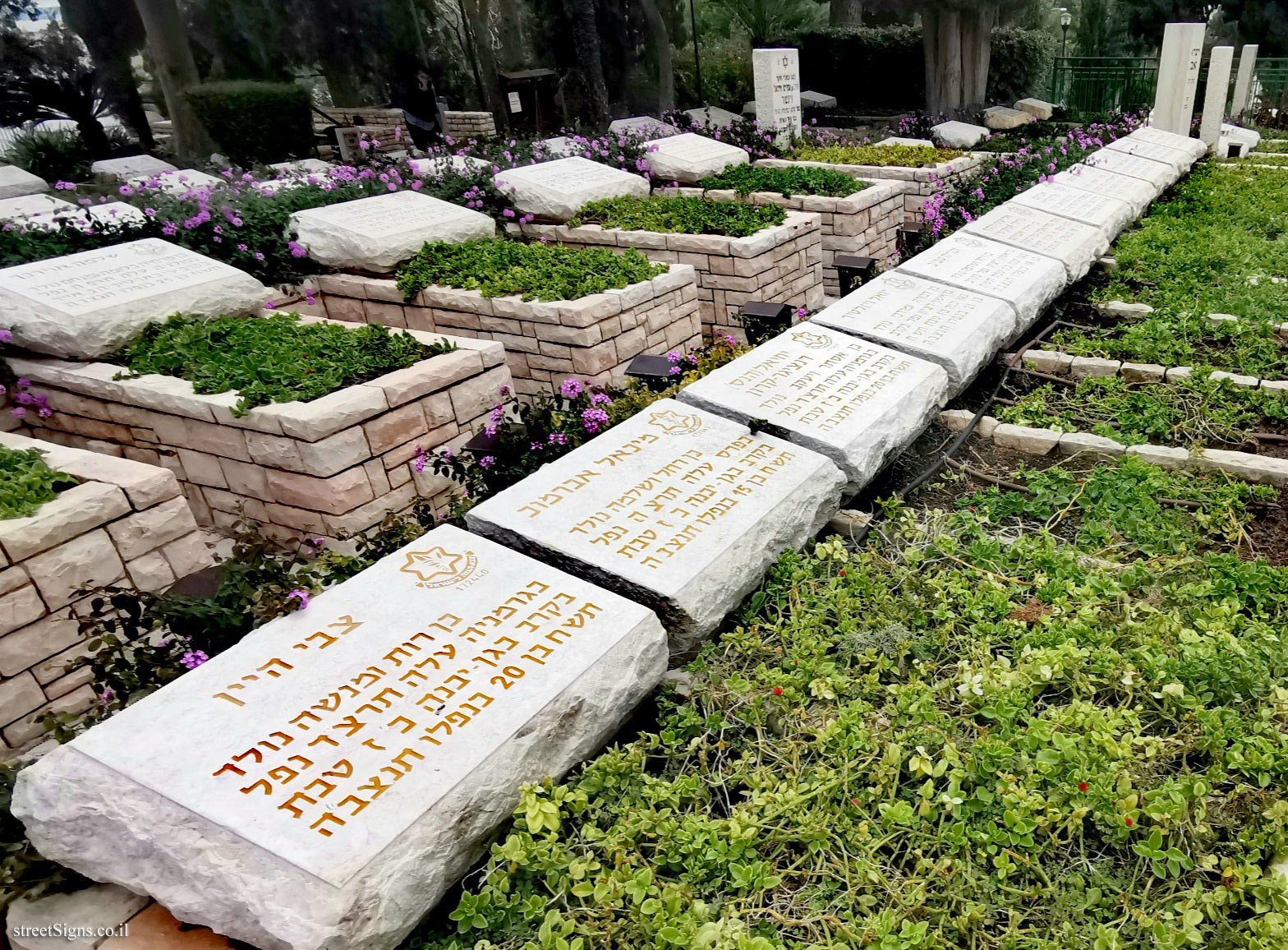 The line of the 11th tombs - the military cemetery - Rishon Lezion