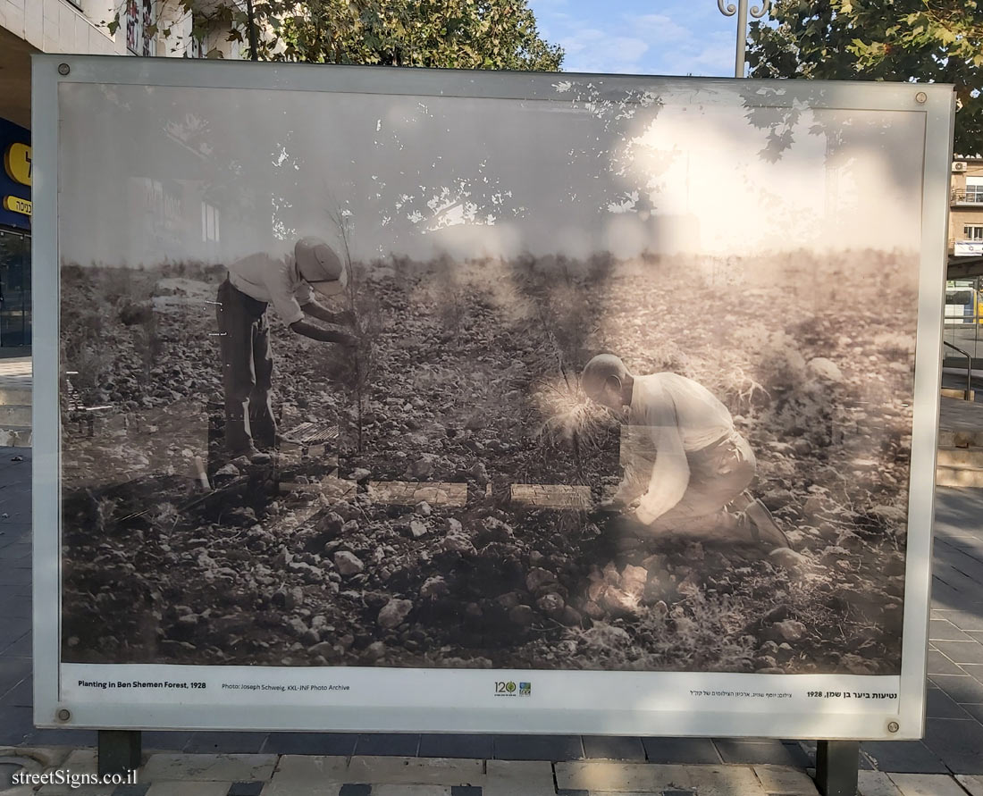 Jerusalem - Through the glass - 120 Years of JNF - Planting in Ben Shemen Forest, 1928