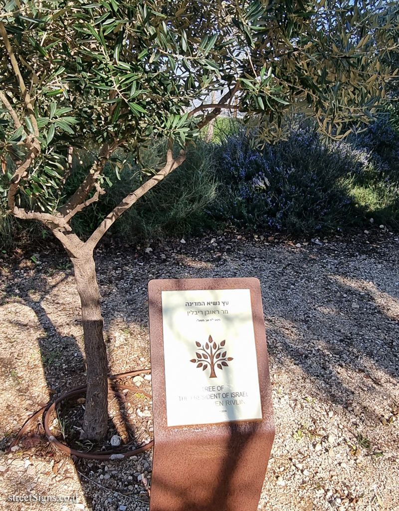 Ariel Sharon Park - Tree of Reuven Rivlin