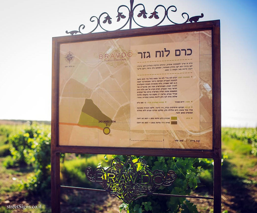 Bravdo Winery - Gezer Plate Vineyard