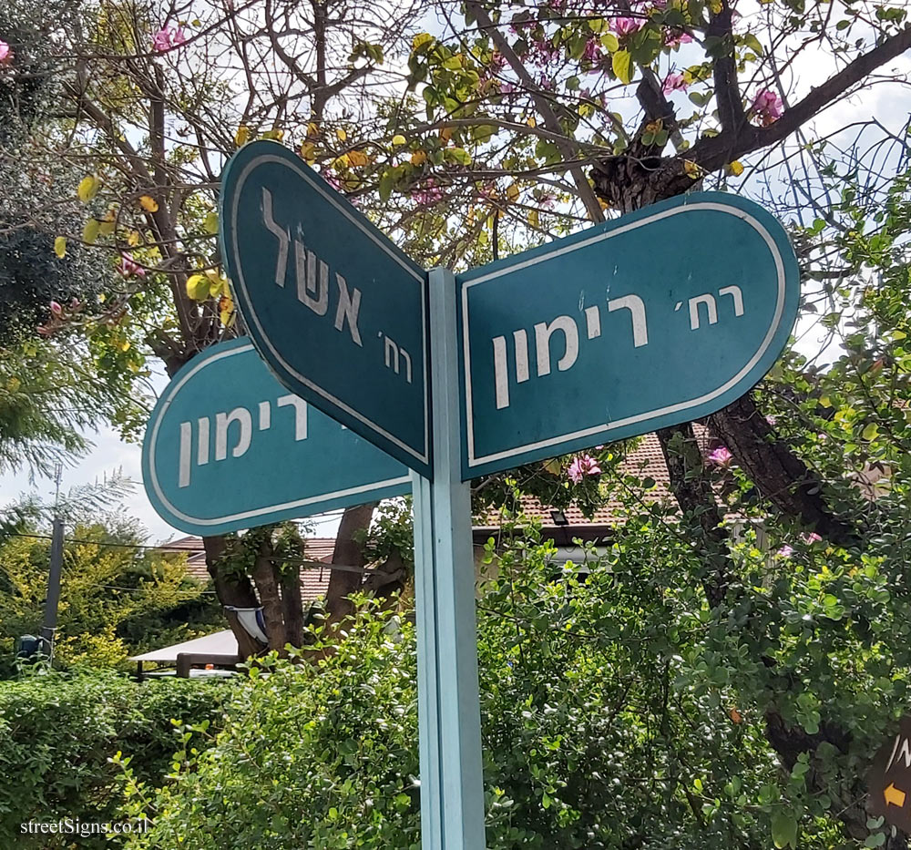 Nir Zvi - the intersection of Rimon and Eshel streets