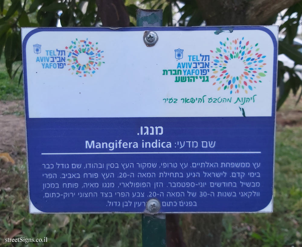 Tel Aviv Orchard - Mango