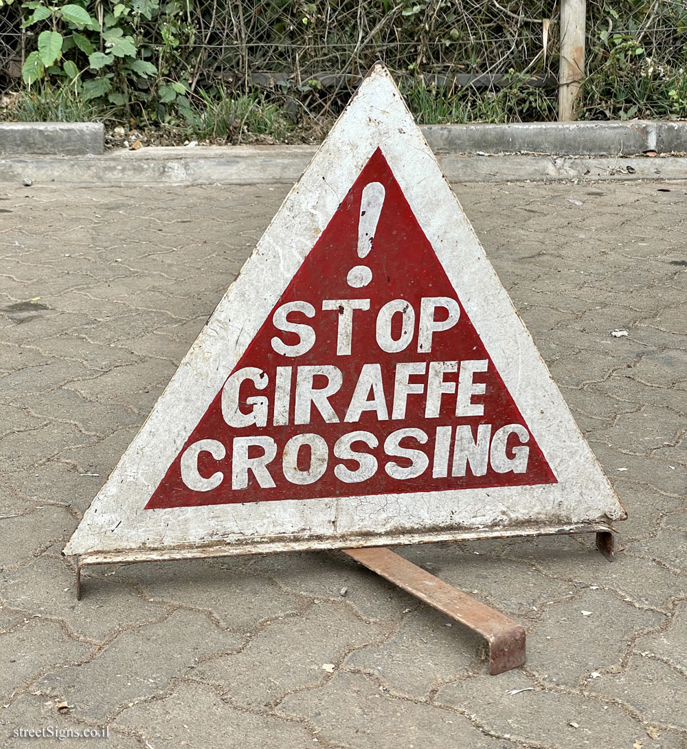 Nairobi - Stop, giraffes cross the road