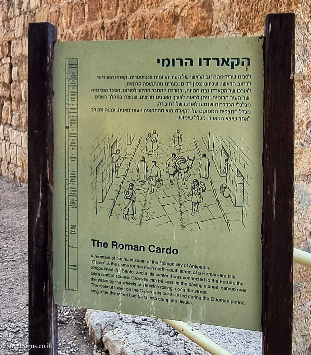 Tel Afek National Park - The Roman Cardo