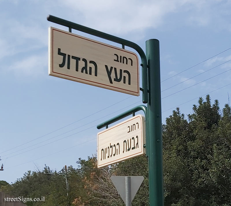 Beit Shearim - the intersection of Ha’etz HaGadol and Givat HaKalaniot streets