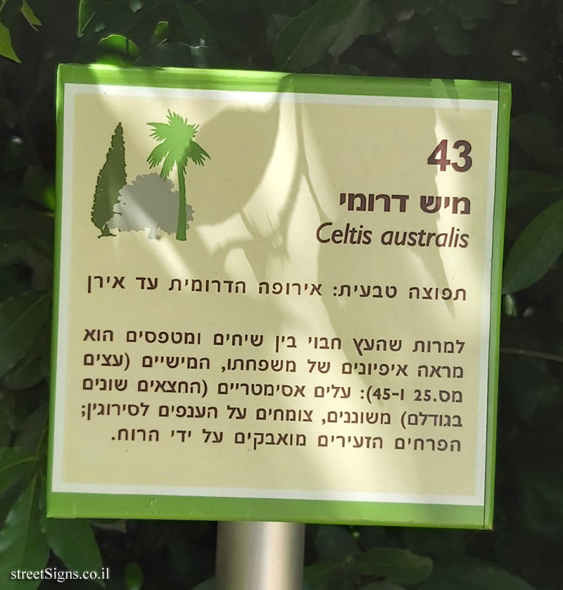 The Hebrew University of Jerusalem - Discovery Tree Walk - Nettle Tree