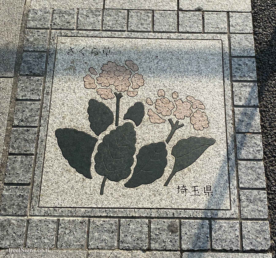 Tokyo - Prefecture Flower Route of Japan - Saitama