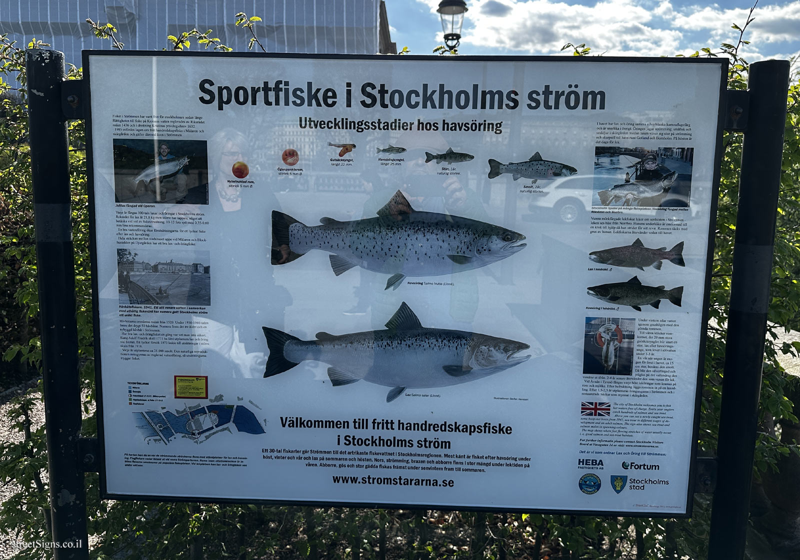 Stockholm - Sport fishing in Stockholm’s stream