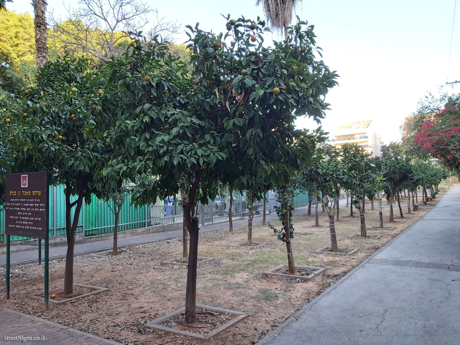 A fruit orchard - Kinerret Garden - Kinneret St 7, Kefar Sava, Israel