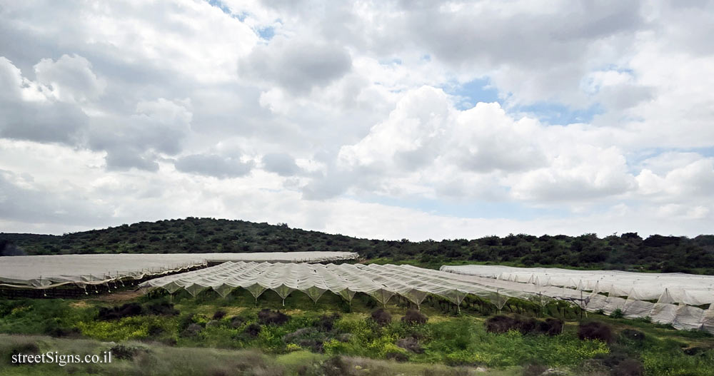 Rimon Farm - Lahav, Israel