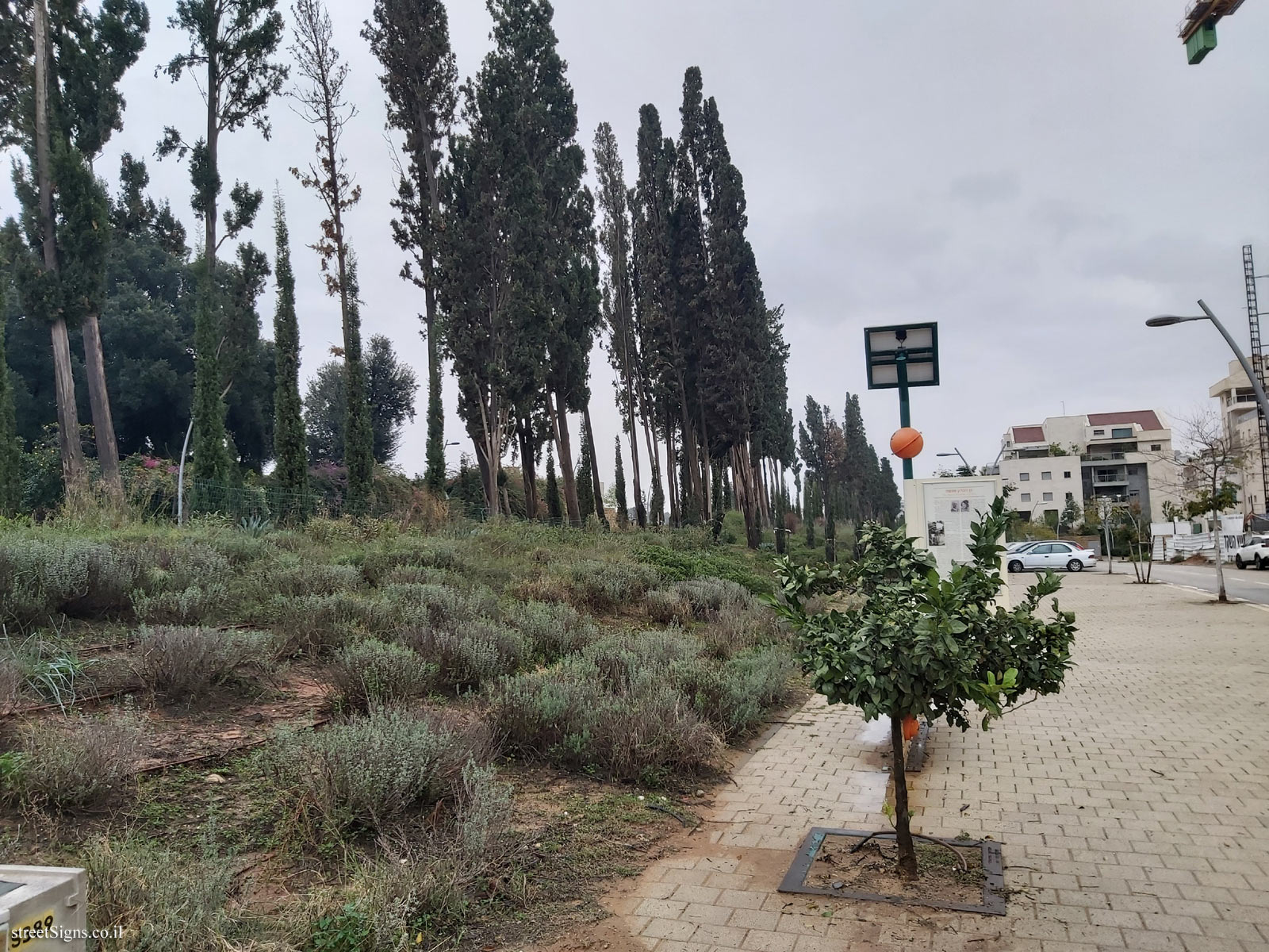 Kfar Saba - The Founders’ Path - Station 12 - The Baron Menashe Garden