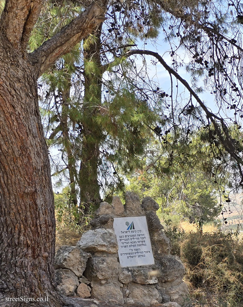 Mishmar Ayalon - Volunteer Forest