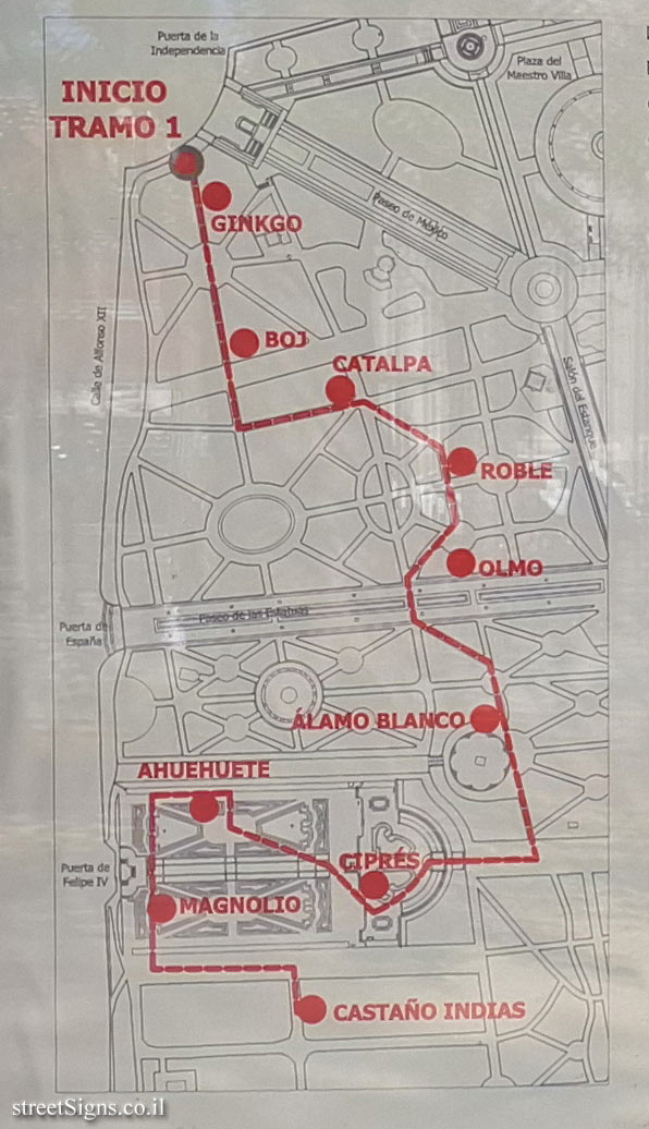 Madrid - Buen Retiro Park - Botanical Route - The Oldest Gardens