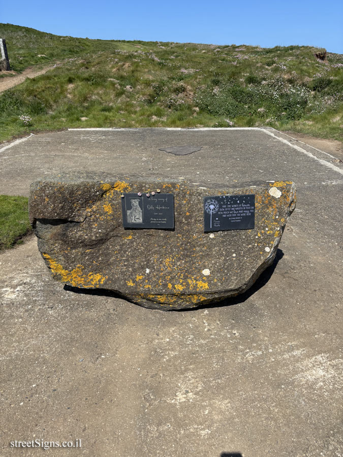 Padstow - A memorial area for the dog Olly Hoskins and probably his owner as well - GXWW+84 Padstow, UK