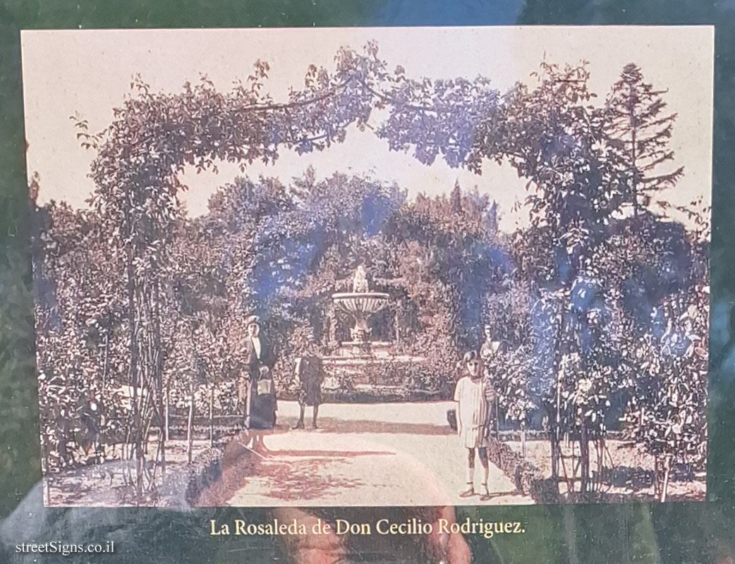 Madrid - Buen Retiro Park - The Rose Garden