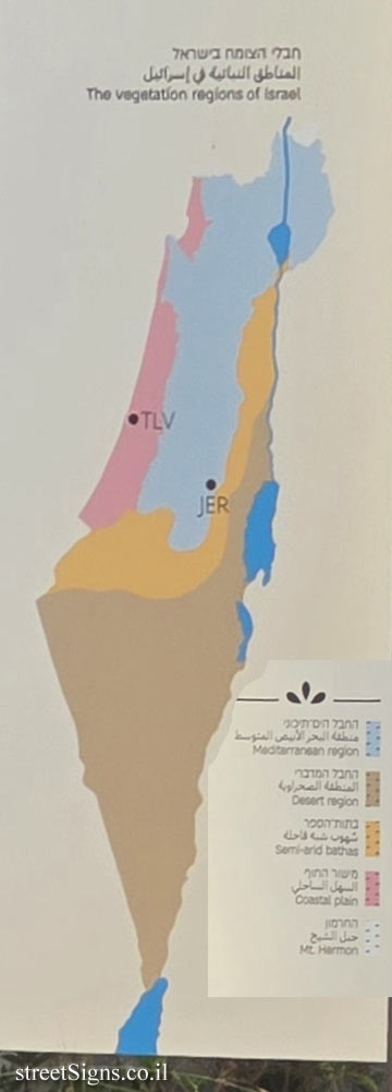 Tel Aviv University - Botanical Garden - Israel’s Vegetation  - The vegetation regions of Israel