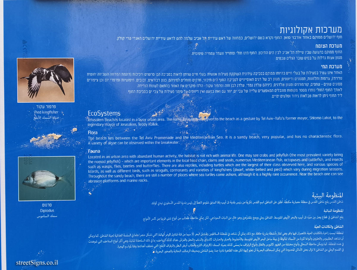 Tel Aviv - Blue Flag Beach - Jerusalem Beach - Ecosystems