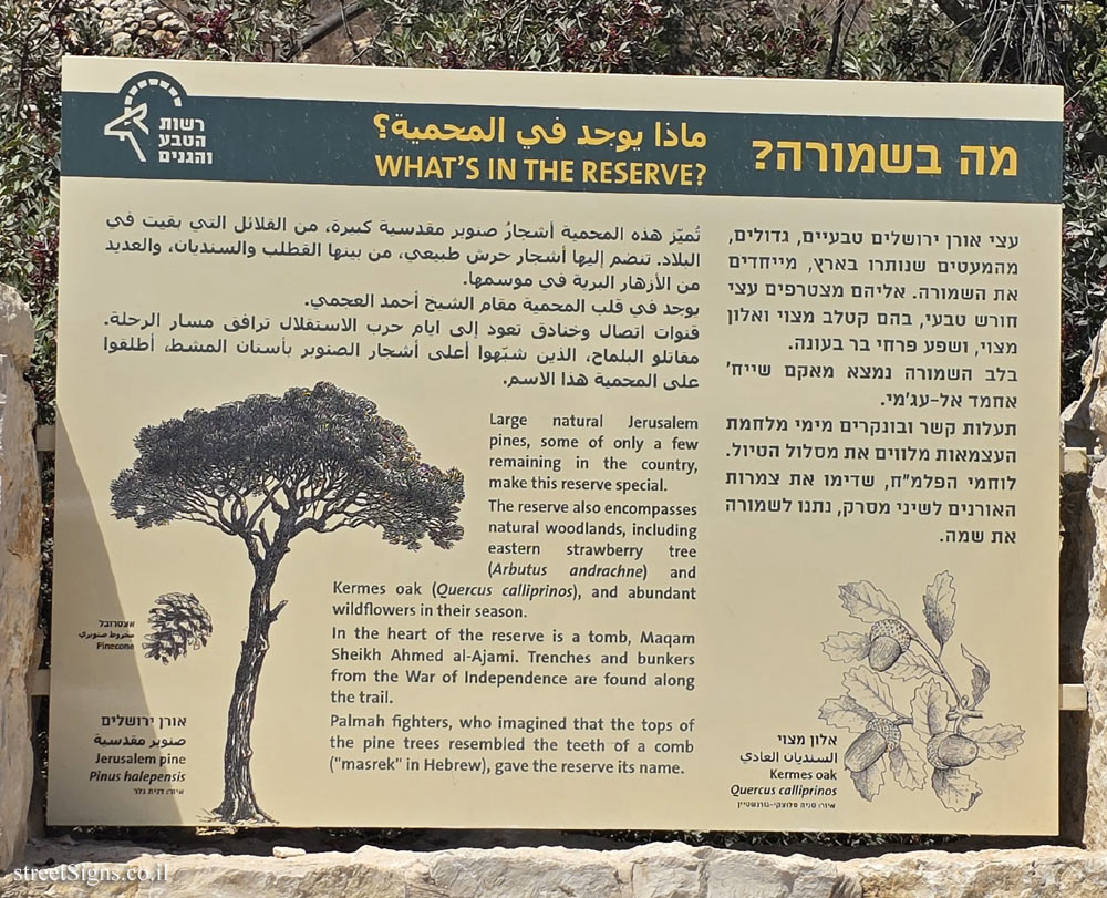 HaMasrek Reserve - HaMasrek Reserve, Beit Meir, Israel