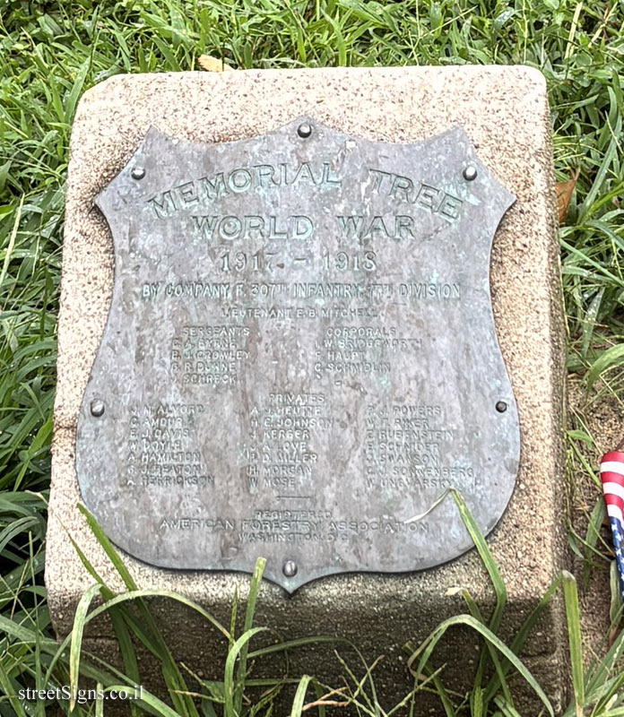 New York - Central Park - "Memorial Trees" for the fallen of the 307th Infantry Regiment in WWI