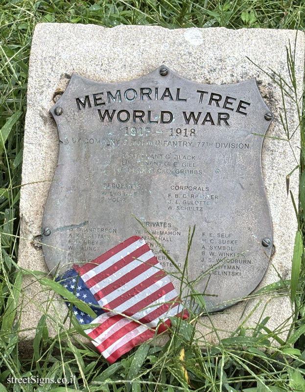 New York - Central Park - "Memorial Trees" for the fallen of the 307th Infantry Regiment in WWI