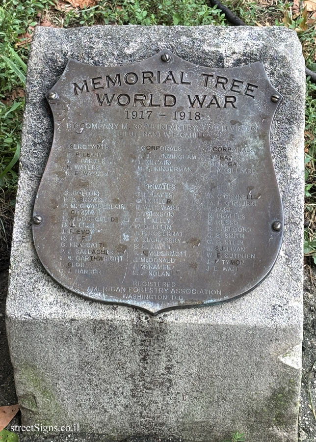 New York - Central Park - "Memorial Trees" for the fallen of the 307th Infantry Regiment in WWI