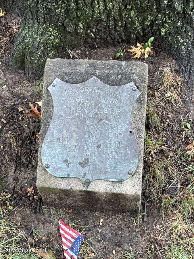 New York - Central Park - "Memorial Trees" for the fallen of the 307th Infantry Regiment in WWI
