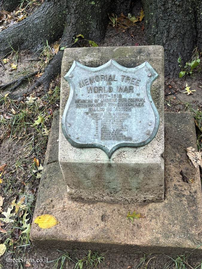 New York - Central Park - "Memorial Trees" for the fallen of the 307th Infantry Regiment in WWI