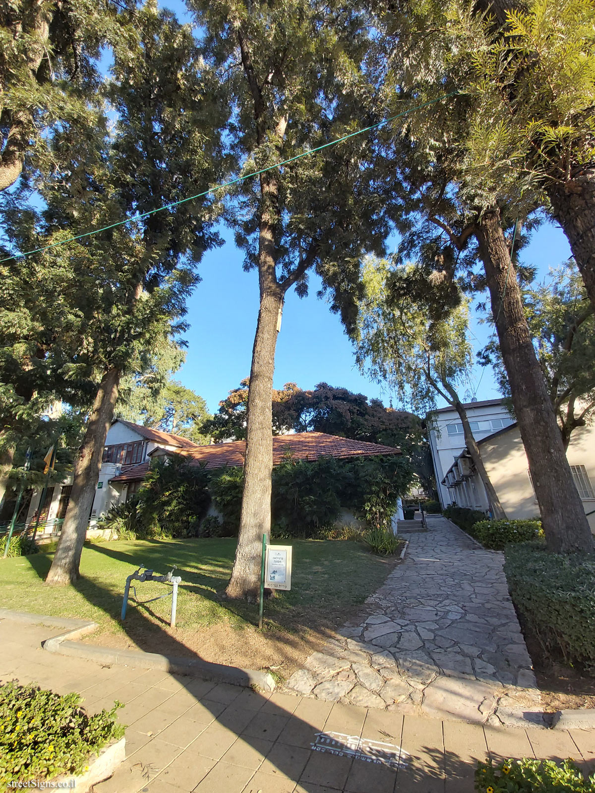 The Tree Path - Grevillea robusta - Weizmann St 135, Kefar Sava, Israel