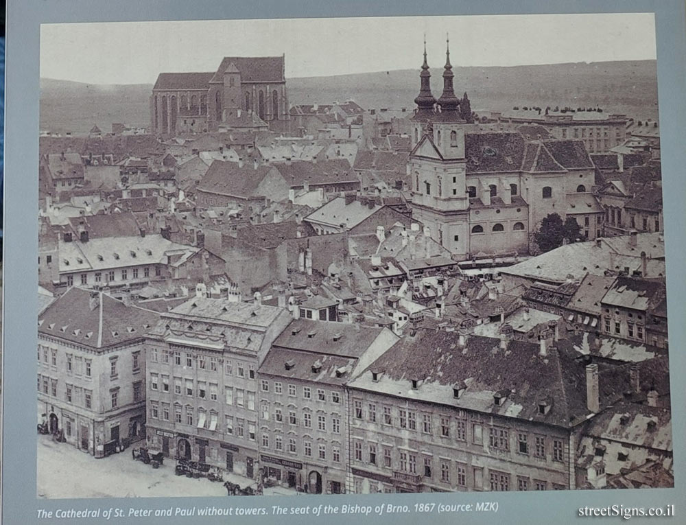 Brno - Gregor Mendel "Father of Genetics" and the Cathedral of Saints Peter and Paul - Petrov 9, 602 00 Brno-střed, Czechia