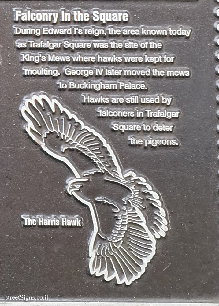 London - Jubilee Walkway - Trafalgar Square (3) - Falconry in the Square