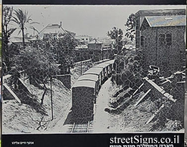 Tel Aviv - HaMesilla Park - Pines St 33, Tel Aviv-Yafo, Israel