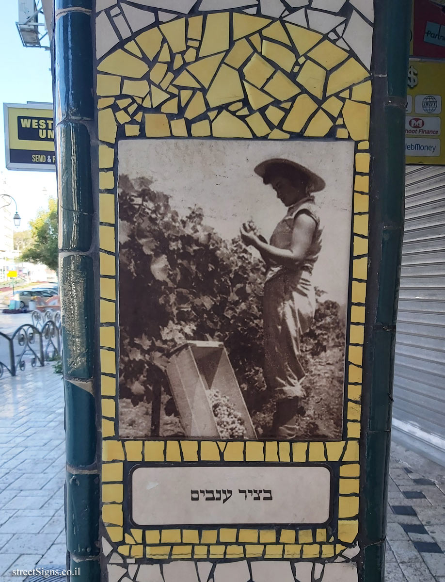 התמונה הקודמת השייכת לשלט זה