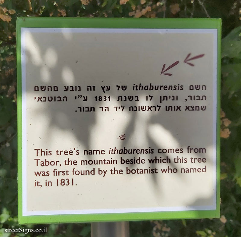 The previous image belongs to this sign