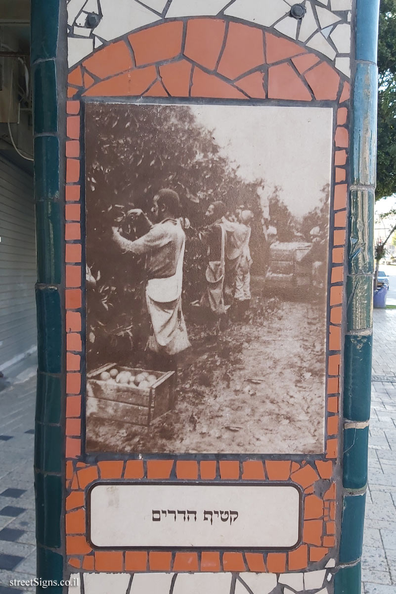 התמונה הקודמת השייכת לשלט זה