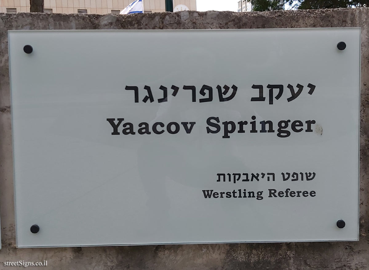 Tel Aviv - The eleventh square - Yaacov Springer