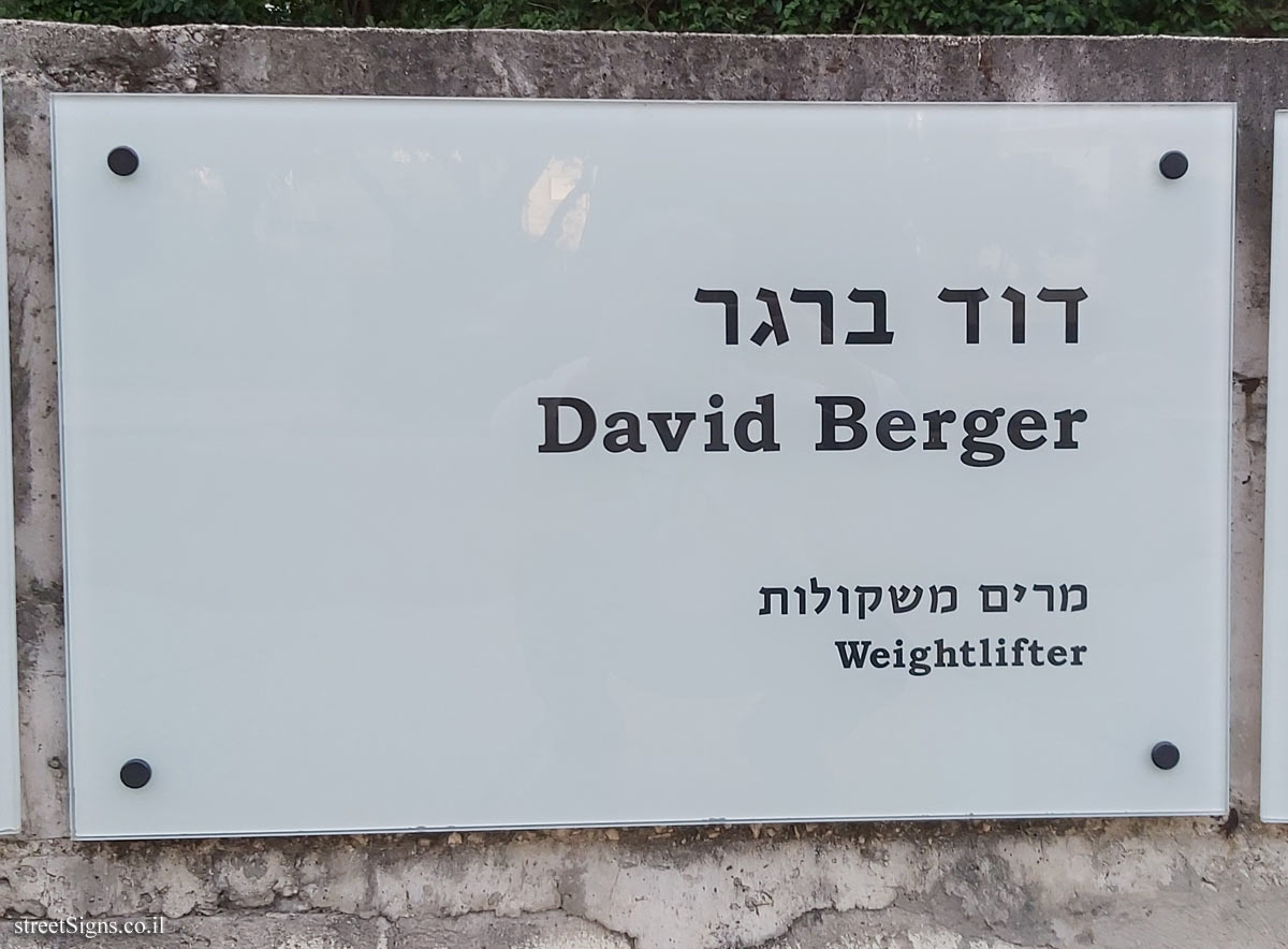 Tel Aviv - The eleventh square - David Berger