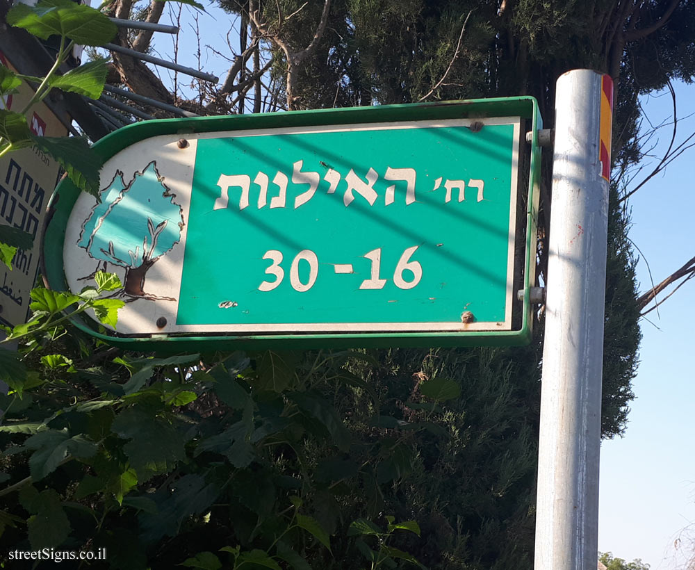 HaIlanot Street - Kfar Sirkin