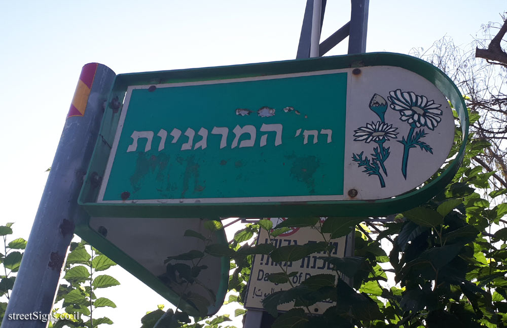 HaMarganiot Street - Kfar Sirkin