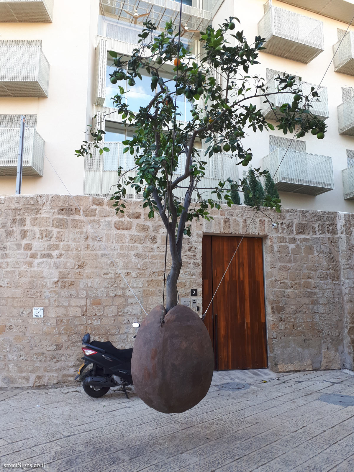 "Suspended Orange Tree" - Outdoor sculpture by Ran Morin - HaTsorfim St 2, Tel Aviv-Yafo, Israel