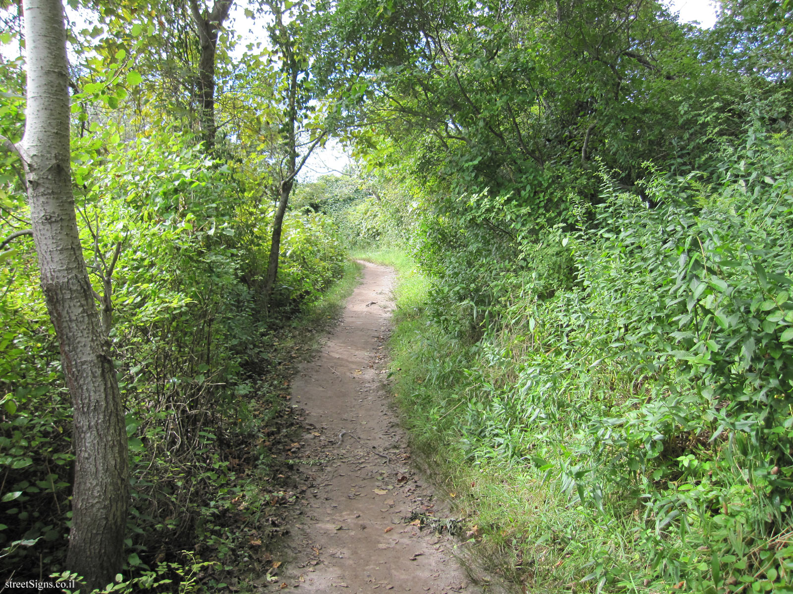 Block Island - Clayhead Trail