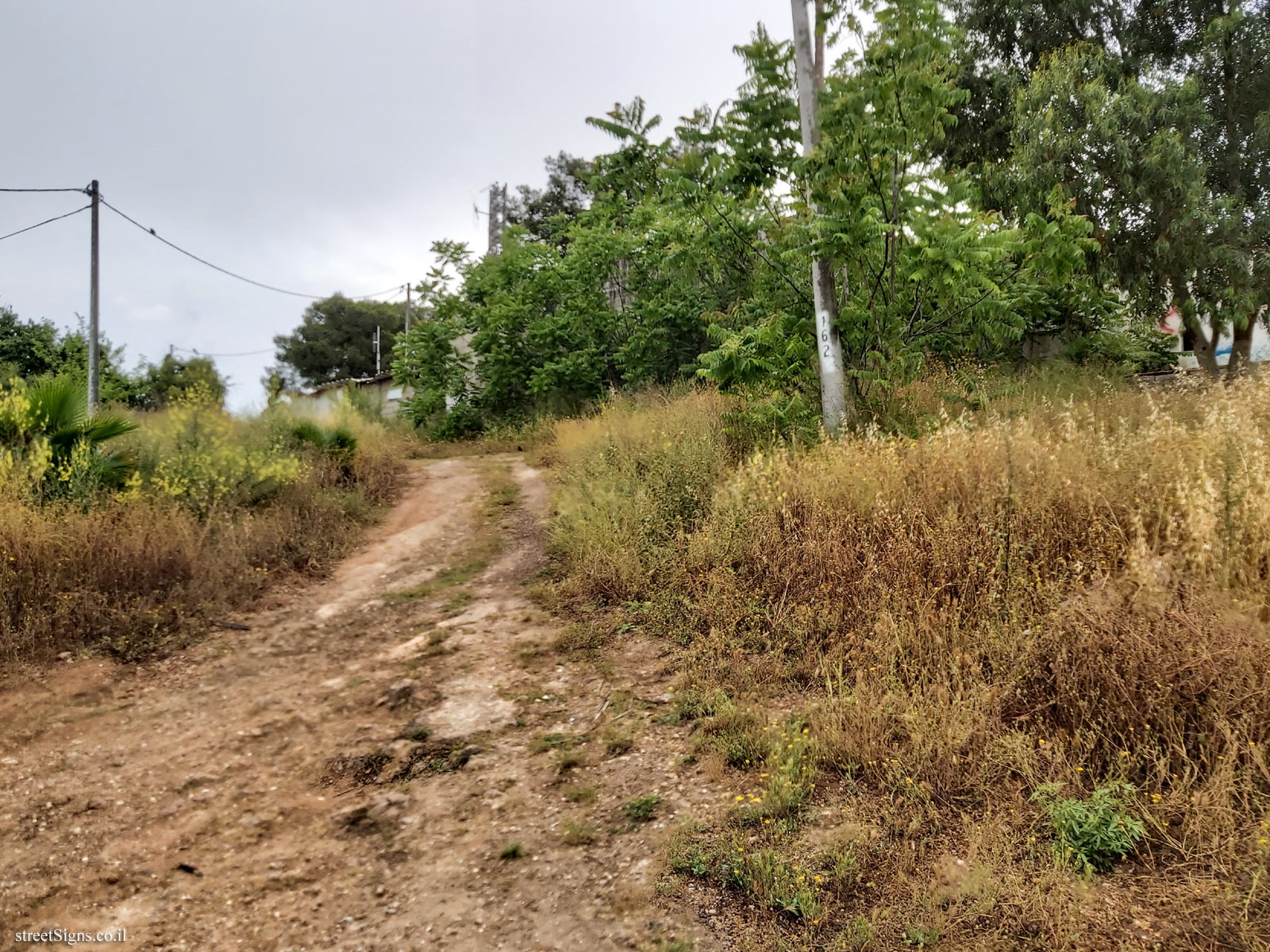 Flag trail - Love Hill - Ha-Minyan ha-Rishon St 15, Ness Ziona, Israel