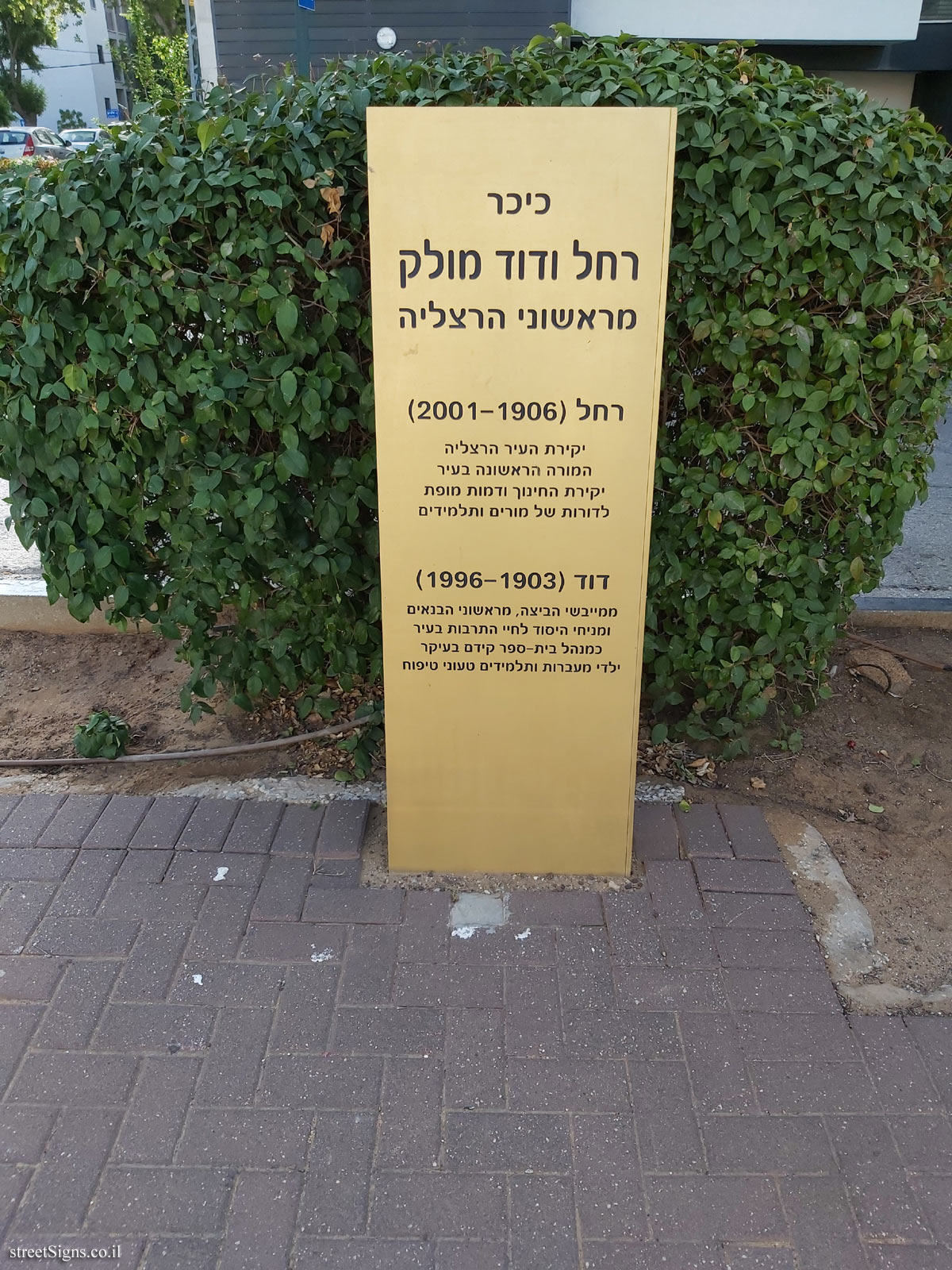 Rachel and David Mulk Square - Yigal Alon St 2, Herzliya, Israel