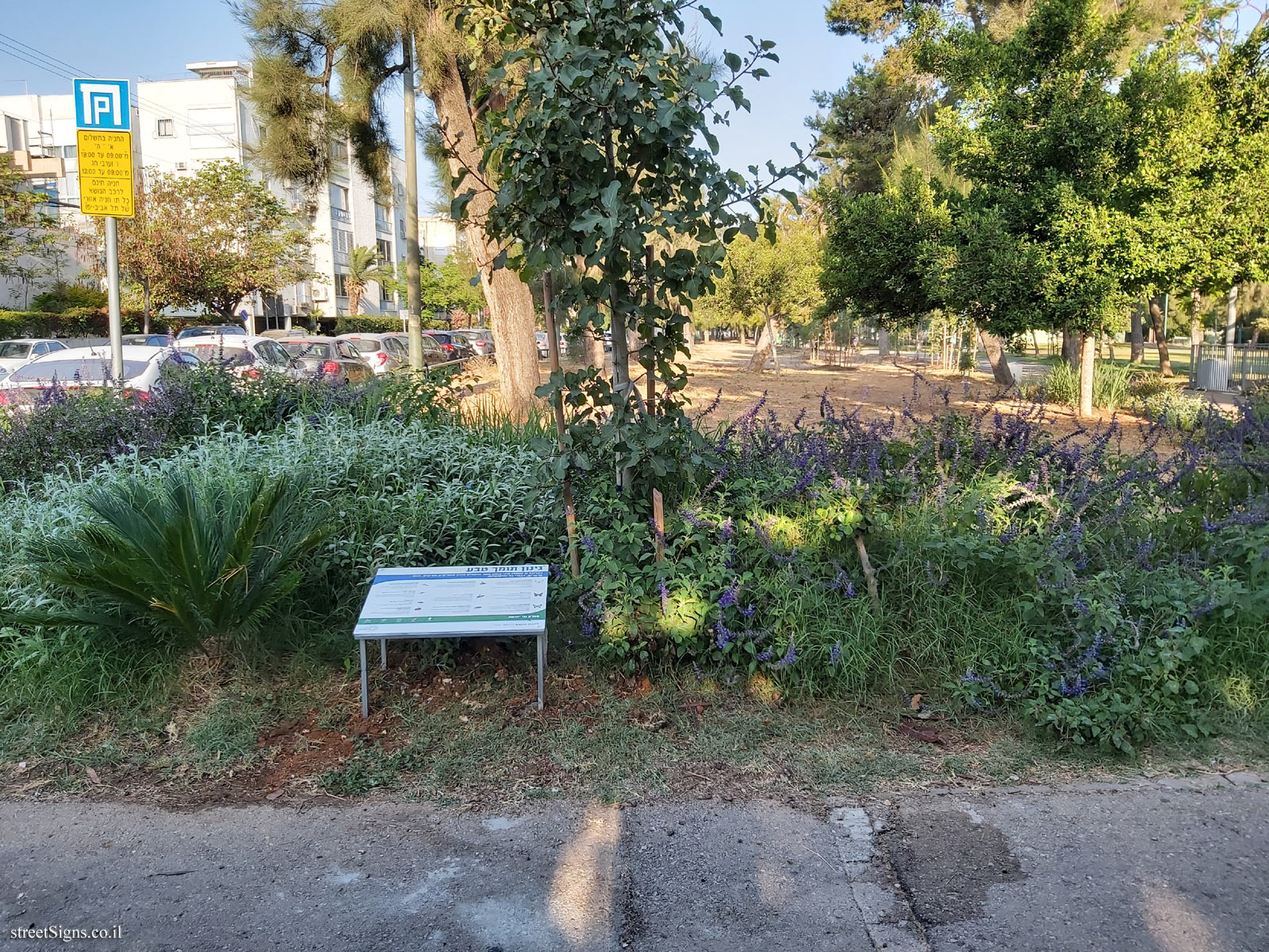 Tel Aviv - Hayarkon Park - Gardening supporting nature