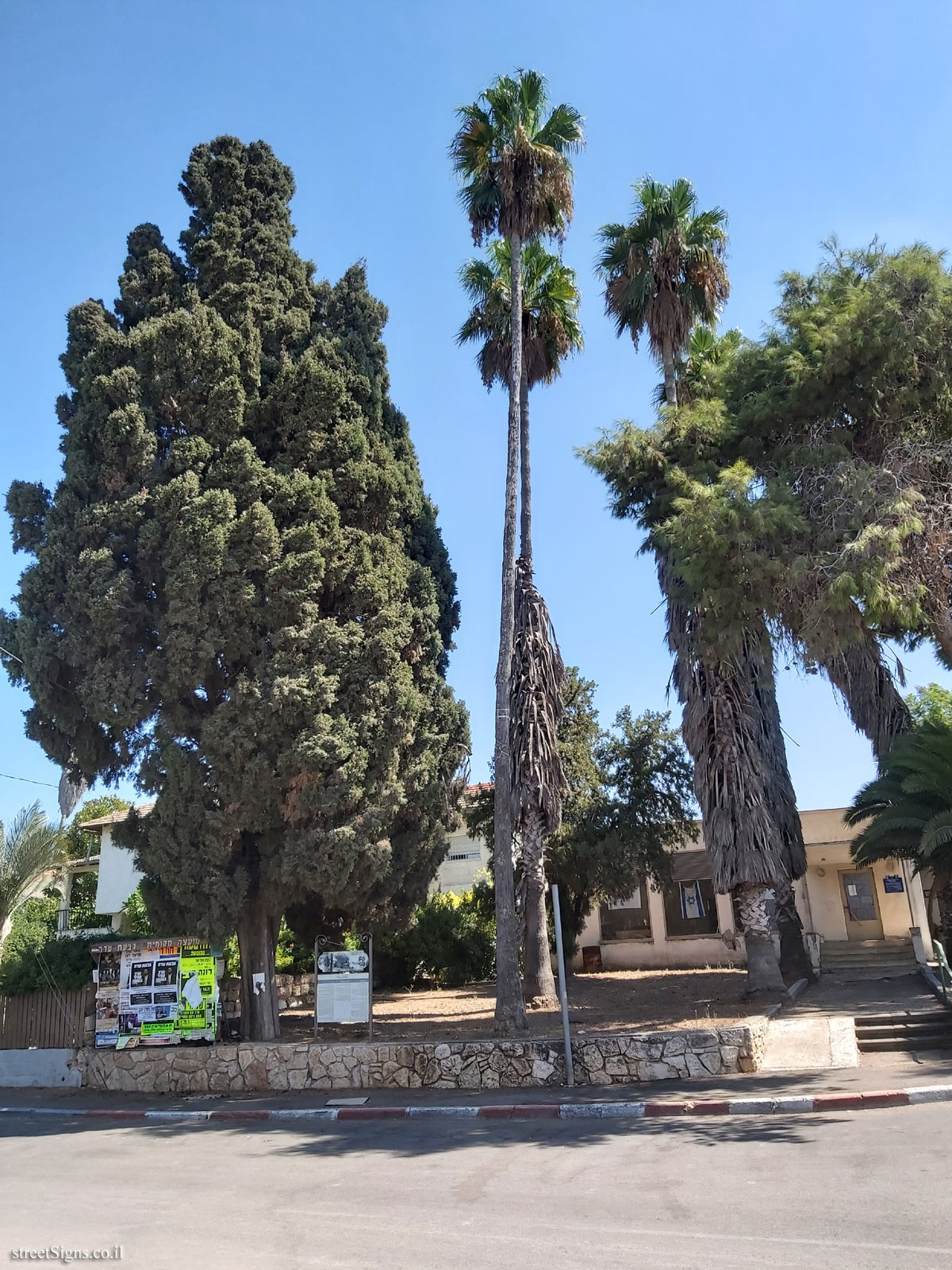 Givat Ada - Trees on HaDekel Street and Harishonim Street