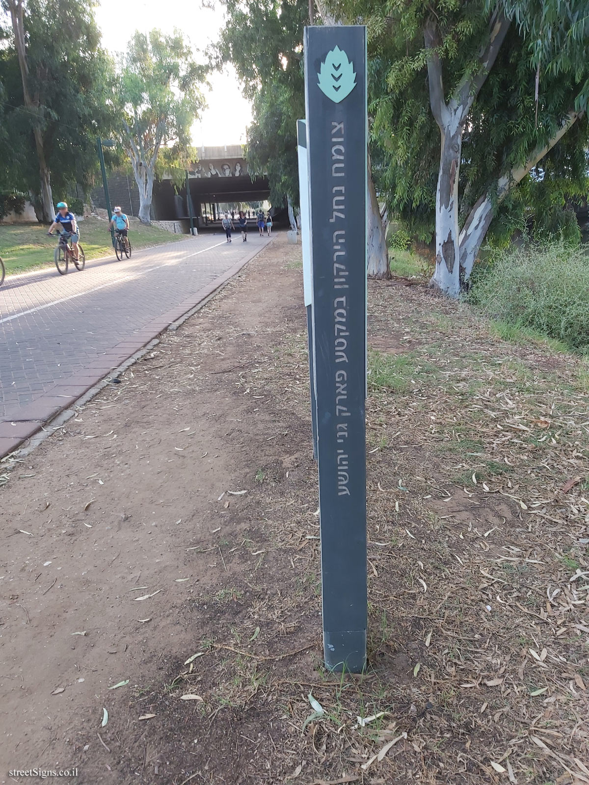 Hayarkon Park - Vegetation of the Yarkon River in the Ganei Yehoshua Park section