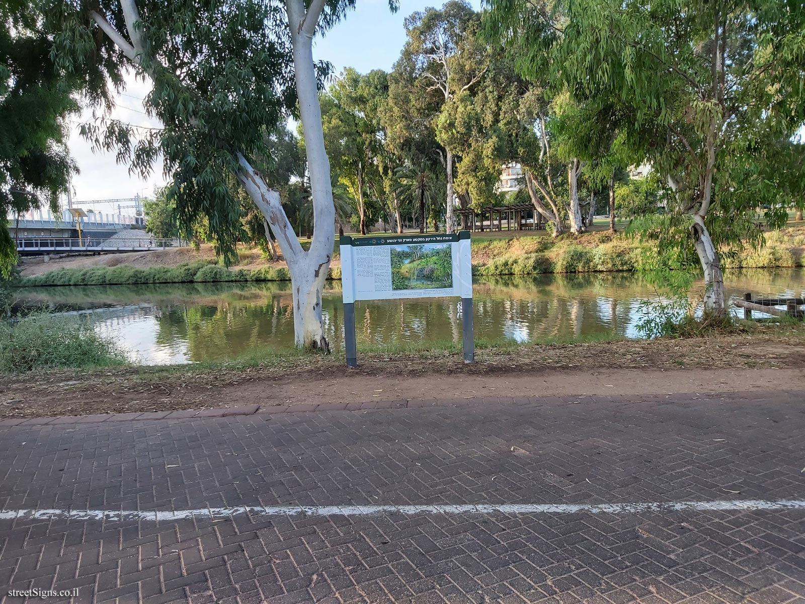 The vegetation in Hayarkon Park in the area of Rosh Tzipor Bridge